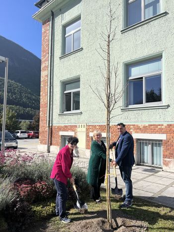 Rožnato drevo v rožnatem oktobru – mednarodnem mescu osveščanja o raku dojk Rožnato drevo v rožnatem oktobru – mednarodnem mescu osveščanja o raku dojk