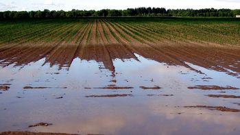 Zbiranje vlog oškodovanih v neurjih s točo in v poplavah