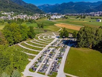 Uporaba električnega vozila z voznikom v času praznikov za obiskovalce pokopališča Blejska Dobrava