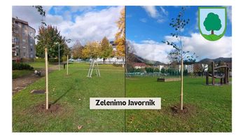 Pomoč pri okrevanju narave - zasajeni sta dve novi lipi na Javorniku