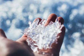 Zbiramo prijave škode na kmetijskih pridelkih, nastalih v pozebi aprila 2023