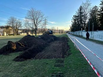 V Šmartinski park selimo drevesa iz Linhartove ceste