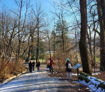Strokovne službe soglasne o nujnih ukrepih za zaključek del na območju Podrožniške poti