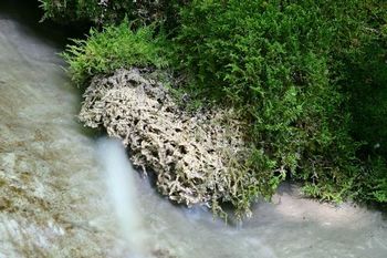 Dupljanska orientacijska pot