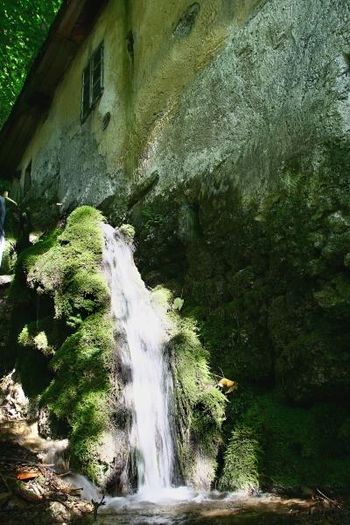 Dupljanska orientacijska pot