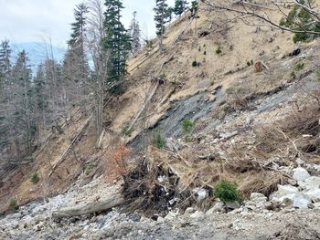 2. Sporočilo za javnost - po zaključeni sanaciji potezne zanke (Civilna zaščita)