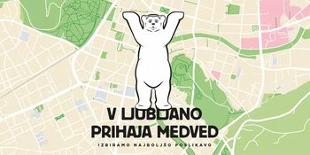 Kako bi pa vi poslikali medveda? Kako bi pa vi poslikali medveda?