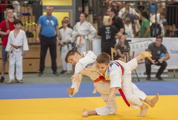 Državno prvenstvo v judu