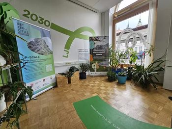 Zavržene rastline odhajajo na poletni oddih