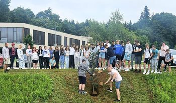 Posadili lipo ob šoli