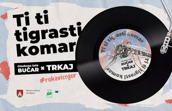 Preprečimo razmnoževanje tigrastih komarjev