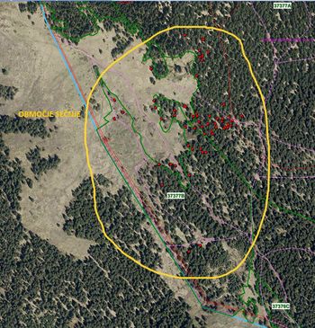Obvestilo o pričetku redne sečnje v neposredni bližini pešpoti Rogla - Lovrenška jezera Obvestilo o pričetku redne sečnje v neposredni bližini pešpoti Rogla - Lovrenška jezera