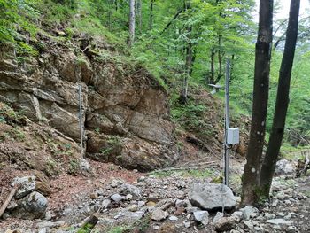 Sanacija zemeljskih plazov v zaledju Koroške Bele Sanacija zemeljskih plazov v zaledju Koroške Bele
