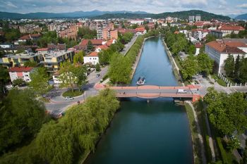 Sečnja v državnem gozdu na območju Brda Sečnja v državnem gozdu na območju Brda