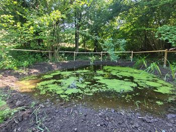 V Zagorju skrbimo za dvoživke V Zagorju skrbimo za dvoživke