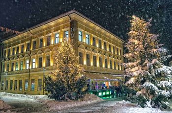 Tudi letos na prazničnih celjskih ulicah smreke občanov 