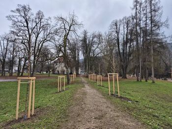 V letošnjem letu smo zasadili že skoraj 1.000 dreves