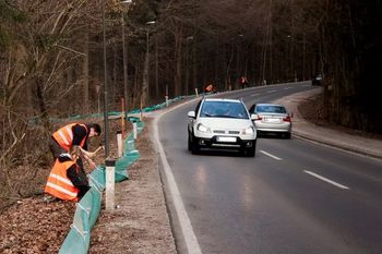 Zaščitimo dvoživke ob Večni poti