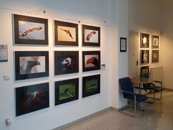 Razstava Marka Burnika v prostorih Občine Jesenice