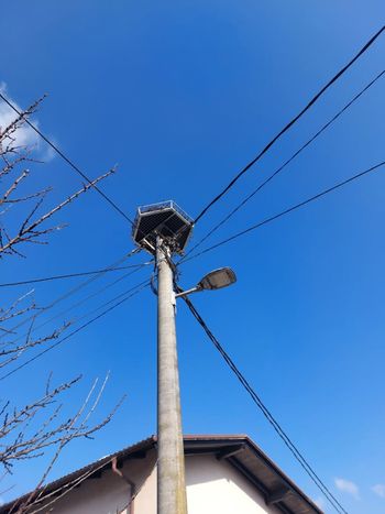 Nova stojala za štorkljina gnezda