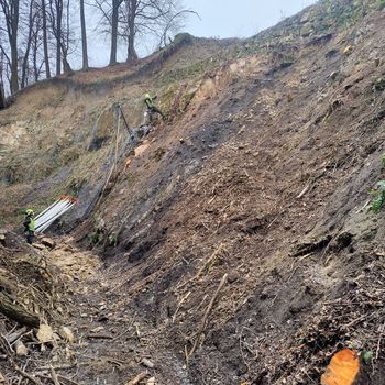 V Celju se izvaja sanacija plazu nad Ledeno dvorano v Mestnem parku