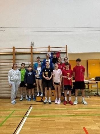 Področno ekipno prvenstvo v badmintonu