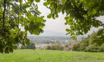 Sadimo drevesa v mestnem gozdu Sadimo drevesa v mestnem gozdu