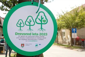Izbiramo drevo in drevored leta 2024 v Ljubljani Izbiramo drevo in drevored leta 2024 v Ljubljani