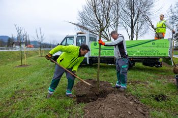 Celje uspešno pridobilo evropska sredstva za zeleni urbani razvoj