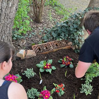 Naj tvoja volja spreminja vesolja