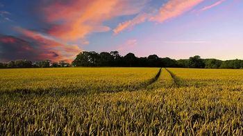 Podaljšanje vloge za oprostitev izvajanja storitve praznjenja greznic in malih čistilnih naprav Podaljšanje vloge za oprostitev izvajanja storitve praznjenja greznic in malih čistilnih naprav