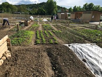 Dan brez zavržene hrane Dan brez zavržene hrane