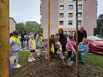Zasaditev drevesnih sadik na Plavžu