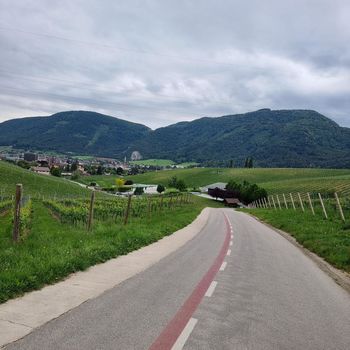 Trajnejša rešitev za poškodovane bankine ob cestah