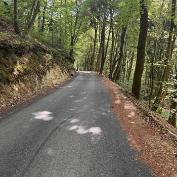 Urejena dva odseka javne poti Šmartno v Rožni dolini–Šentjungert