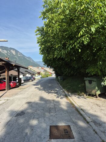 Vzdrževanje rastlinja ob občinskih cestah je odgovornost lastnikov zemljišč