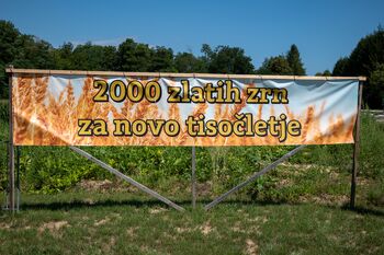DOBROVNIK GOSTIL ŽETEV 2000 ZLATIH ZRN – PRAZNIK DEDIŠČINE, KULTURE IN POVEZOVANJA / DOBRONAKON LEARATTÁK A 2000 ARANY BÚZASZEMET – AZ ÖRÖKSÉG, A KULTÚRA ÉS A KAPCSOLATÉPÍTÉS ÜNNEPE