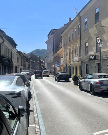 Gosposka ulica bo bolj zelena in dostopnejša z javnim prevozom