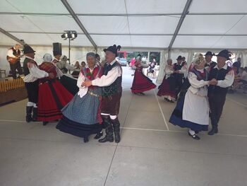 Praznik glasbe, ljudskih plesov in zimzelenih popevk na Hrušici