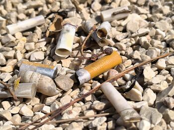 Cigaretni ogorki – skrita grožnja zdravju, naravi in našim otrokom