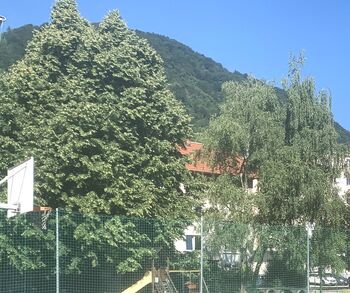 Začela se je obnova igrišča na Polju