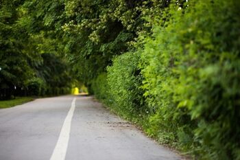 AKCIJA NADZORA NAD ZAGOTAVLJANJEM PREGLEDNOSTI V OBMOČJU ŠOL IN VRTCEV