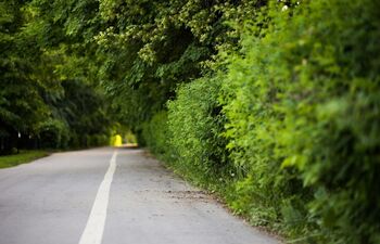 Skrbimo za varnost otrok na poti v šolo in vrtec