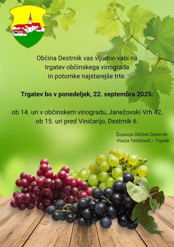 VABILO NA TRGATEV OBČINSKEGA VINOGRADA IN POTOMKE NAJSTAREJŠE TRTE 