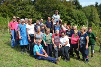Upokojenci prostovoljno pomagali pri trgatvi