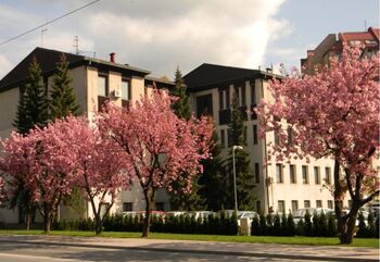V ZD Zagorje otroke opredeljujeta dve novi pediatrinji