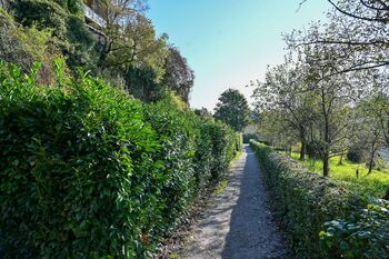 Zaradi varne izvedbe del v četrtek zaprt odsek Župančičevega sprehajališča