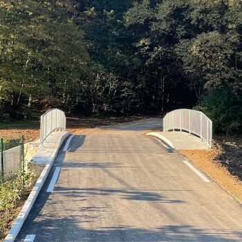 Za večjo prometno in poplavno varnost v Celju