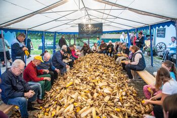 LIČKARIJA V OBČICAH