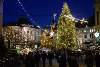 Zbiramo smreke za praznično okrasitev mesta Zbiramo smreke za praznično okrasitev mesta